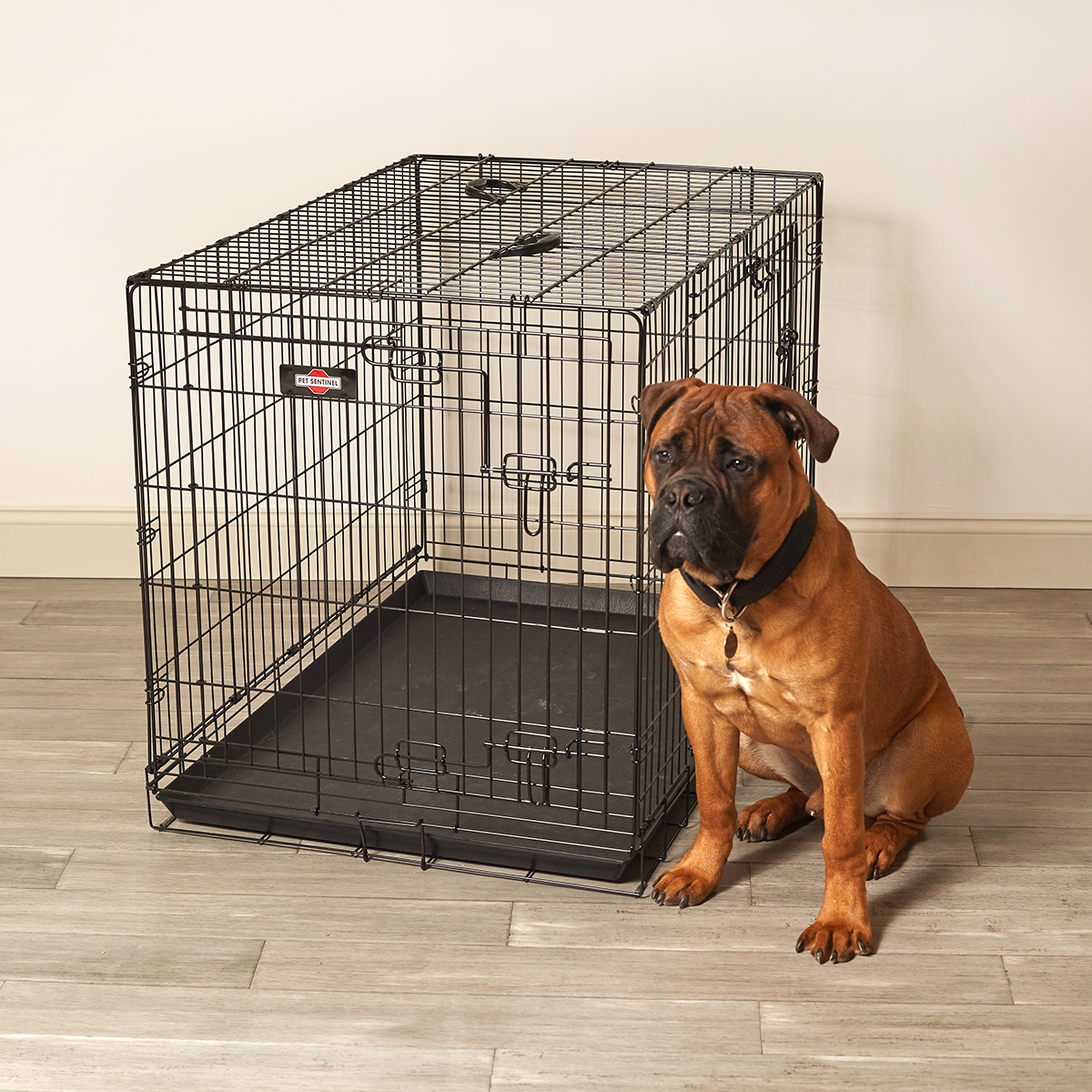 Xl Wire Pet Crate Pet Kennels Crates Playpens Pet Sentinel Products