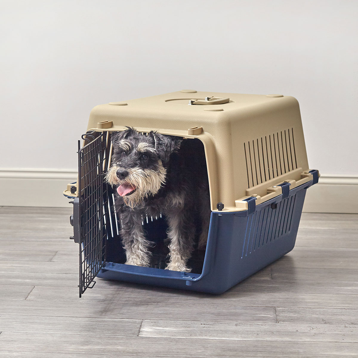 Medium Plastic Pet Crate Pet Kennels Crates Playpens Pet Sentinel 